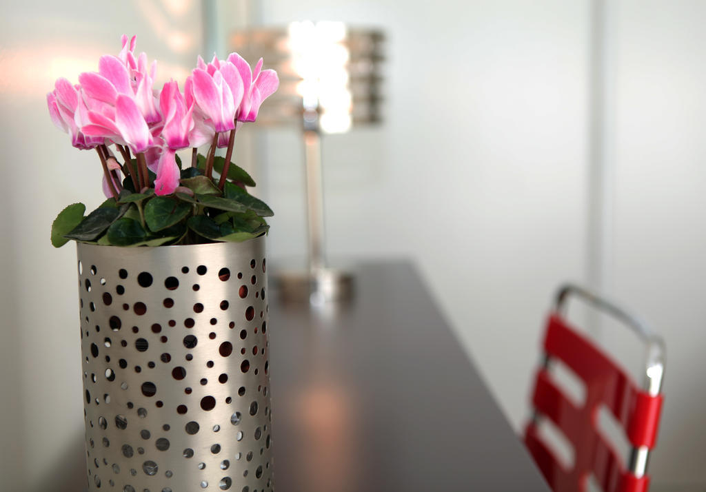 Les Perrelles Bed & Breakfast Bellecombe-en-Beauges Ruang foto